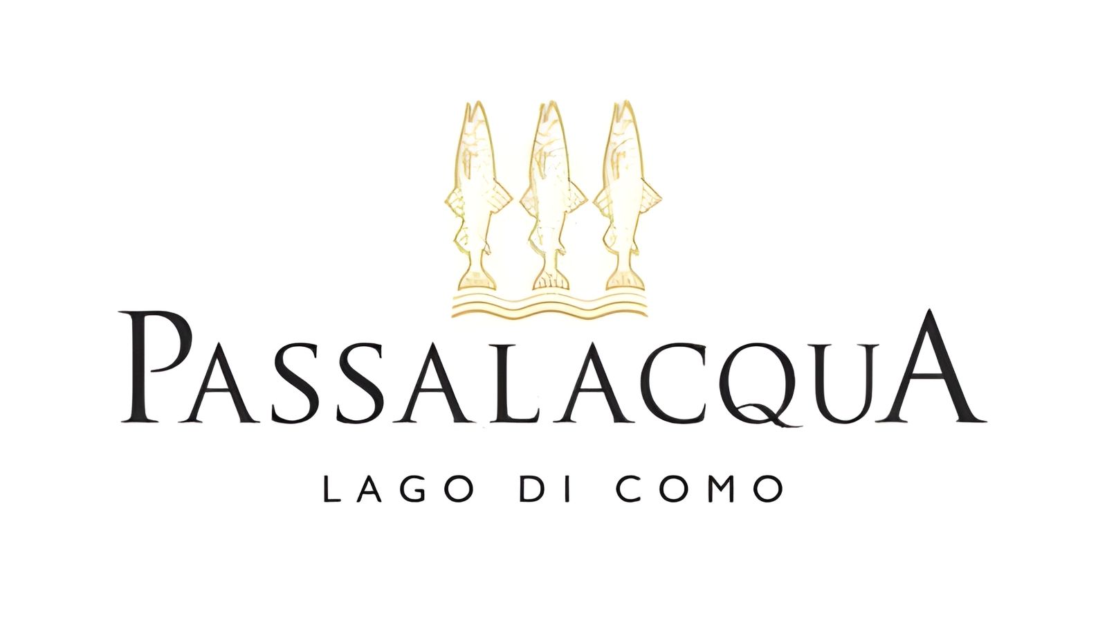 logo Khách sạn Passalacqua