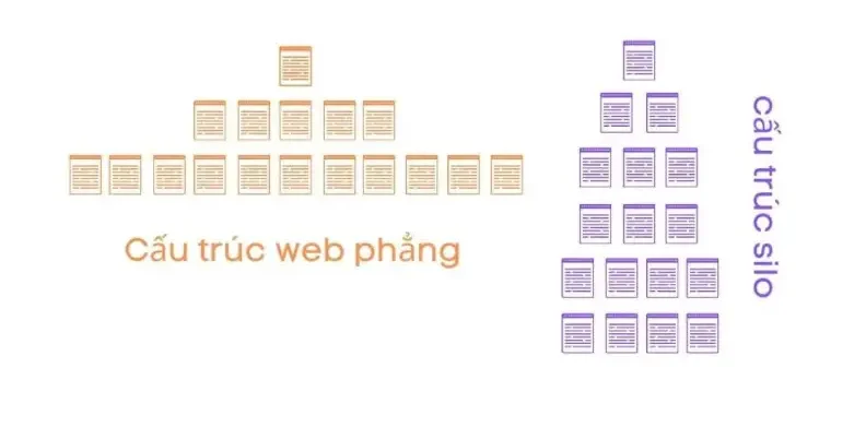 Cấu trúc website Cấu trúc website