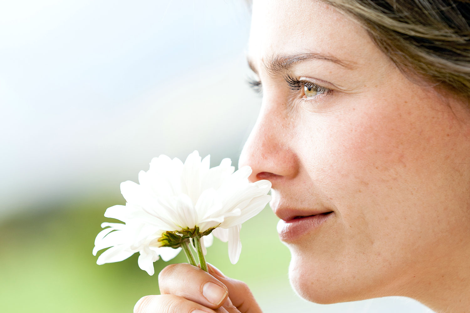 Khứu giác (Smell)